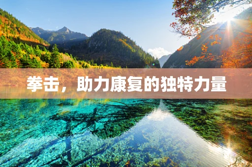 拳击，助力康复的独特力量