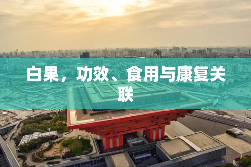 白果，功效、食用与康复关联