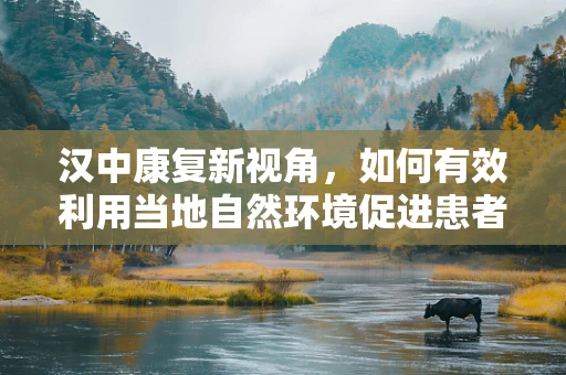 汉中康复新视角，如何有效利用当地自然环境促进患者身心康复？