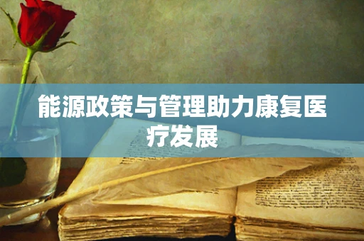能源政策与管理助力康复医疗发展