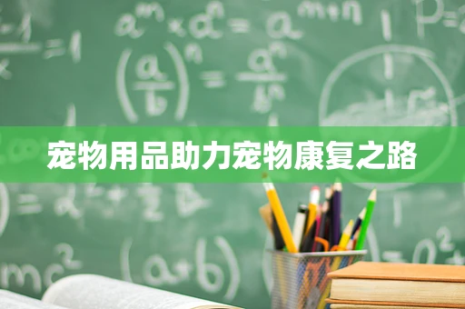 宠物用品助力宠物康复之路
