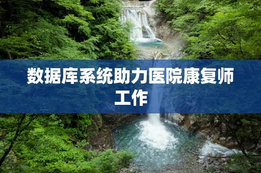 数据库系统助力医院康复师工作