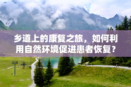 乡道上的康复之旅，如何利用自然环境促进患者恢复？