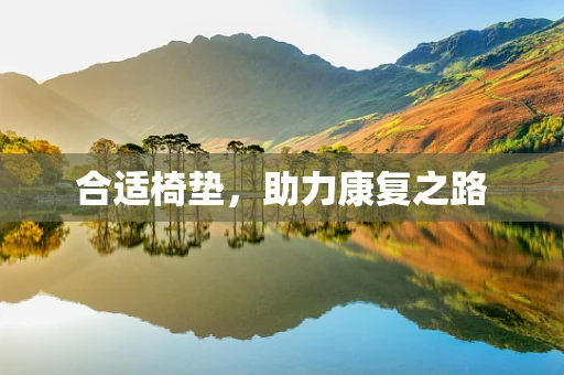 合适椅垫，助力康复之路