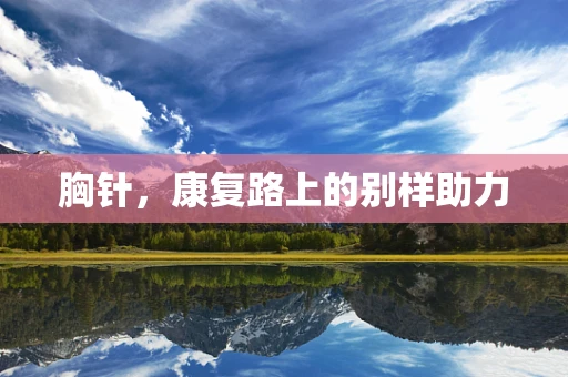 胸针，康复路上的别样助力