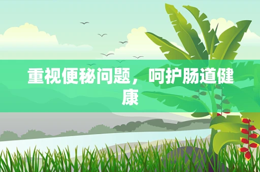 重视便秘问题，呵护肠道健康