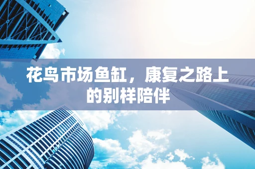 花鸟市场鱼缸，康复之路上的别样陪伴