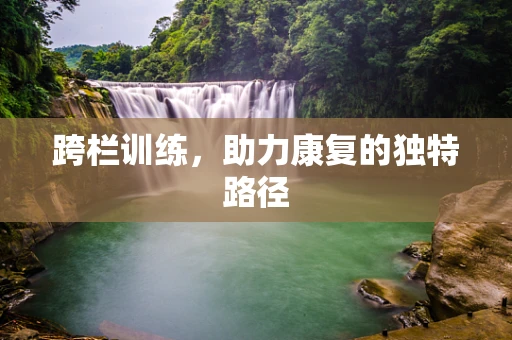 跨栏训练，助力康复的独特路径