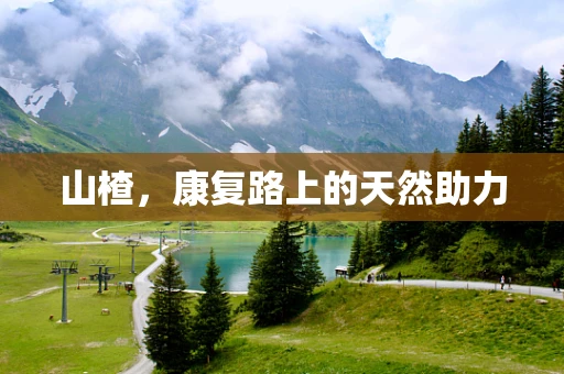 山楂，康复路上的天然助力