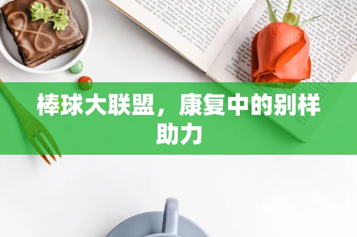 棒球大联盟，康复中的别样助力
