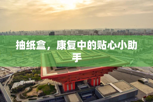 抽纸盒，康复中的贴心小助手