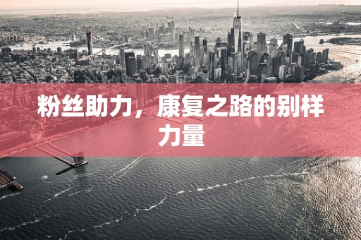 粉丝助力，康复之路的别样力量