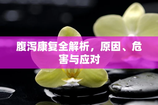 腹泻康复全解析，原因、危害与应对