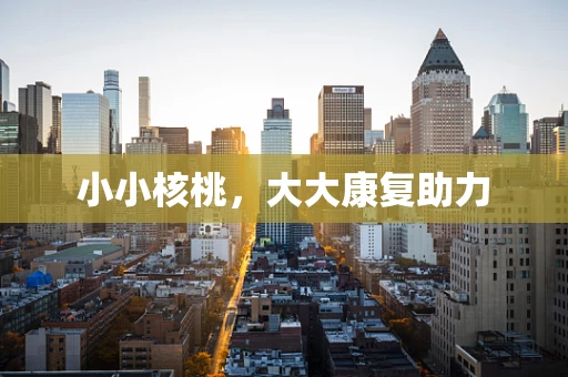 小小核桃，大大康复助力