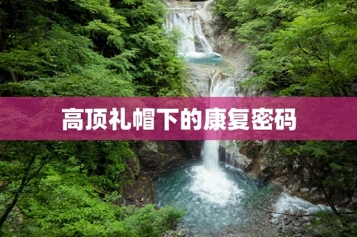 高顶礼帽下的康复密码