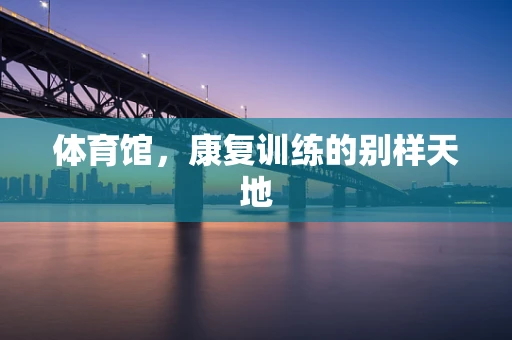 体育馆，康复训练的别样天地