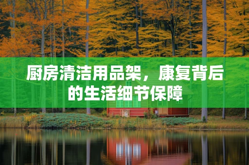 厨房清洁用品架，康复背后的生活细节保障