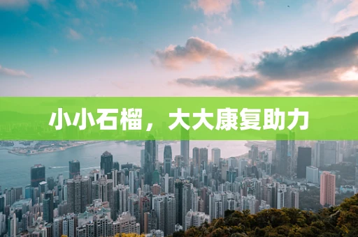 小小石榴，大大康复助力