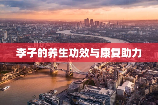 李子的养生功效与康复助力