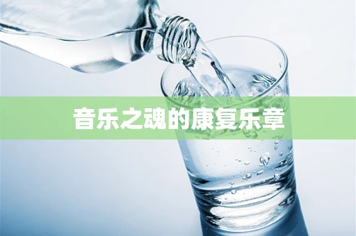 音乐之魂的康复乐章