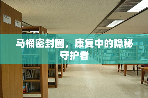 马桶密封圈，康复中的隐秘守护者