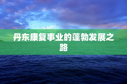 丹东康复事业的蓬勃发展之路
