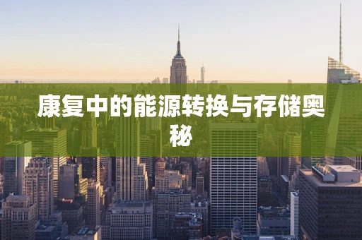 康复中的能源转换与存储奥秘