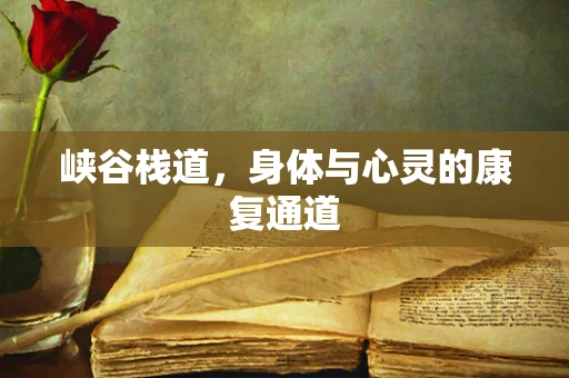 峡谷栈道，身体与心灵的康复通道