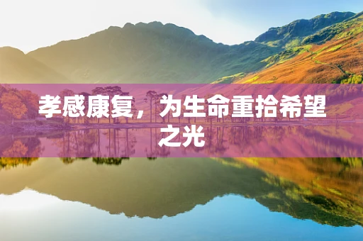 孝感康复，为生命重拾希望之光