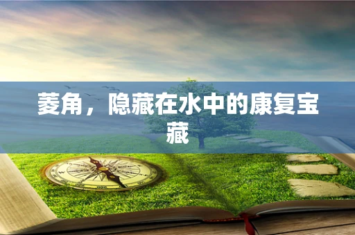 菱角，隐藏在水中的康复宝藏