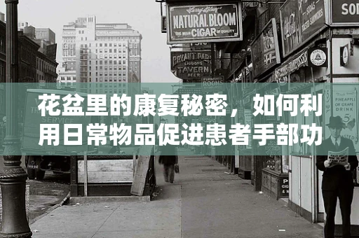 花盆里的康复秘密，如何利用日常物品促进患者手部功能恢复？