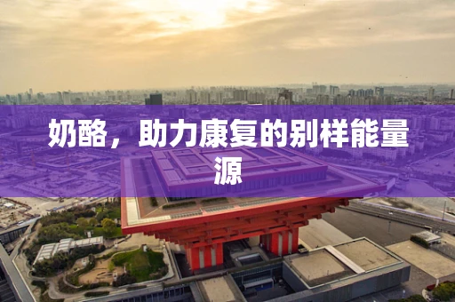 奶酪，助力康复的别样能量源