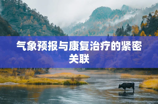 气象预报与康复治疗的紧密关联