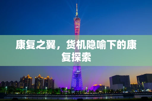 康复之翼，货机隐喻下的康复探索
