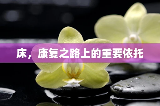 床，康复之路上的重要依托