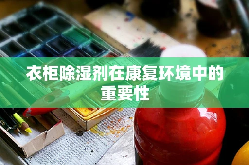 衣柜除湿剂在康复环境中的重要性