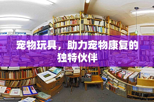 宠物玩具，助力宠物康复的独特伙伴