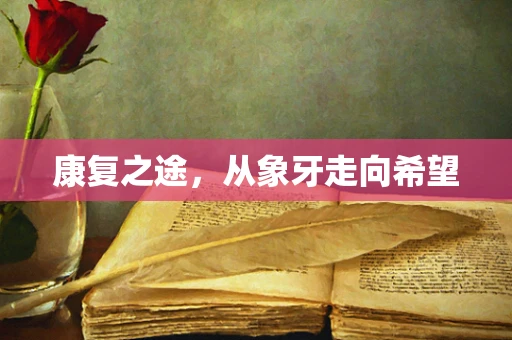 康复之途，从象牙走向希望