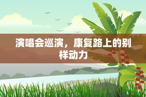 演唱会巡演，康复路上的别样动力