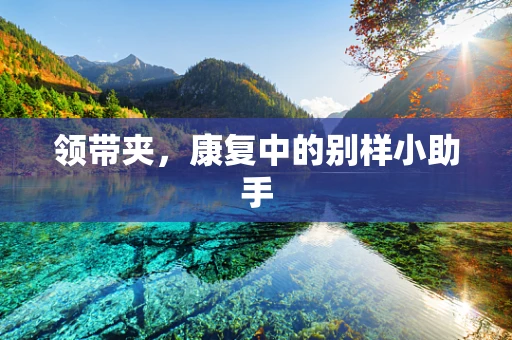 领带夹，康复中的别样小助手