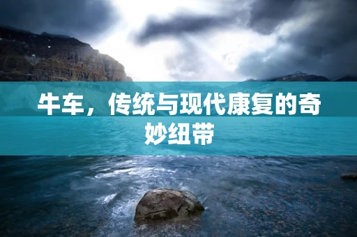 牛车，传统与现代康复的奇妙纽带