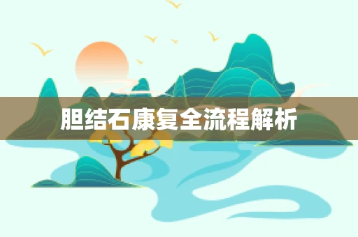胆结石康复全流程解析