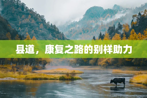 县道，康复之路的别样助力